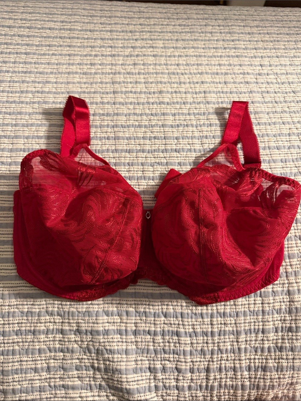 Fantasie Red Lace Underwire Bra full coverage - Picture 1 of 5